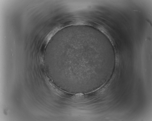 X0000103291481200809051448