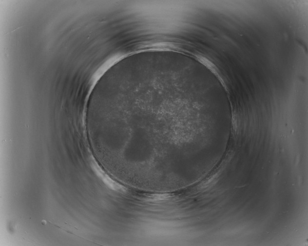 X0000103291482200809051448