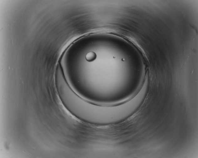 X0000103291484200809051448