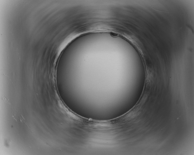 X0000103291486200809051448