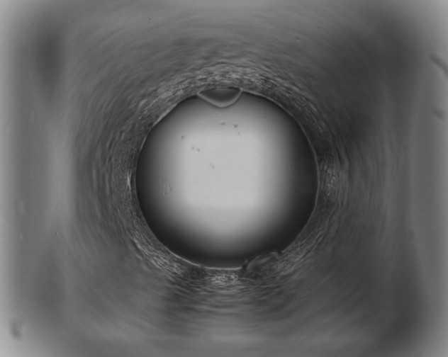 X0000103291489200809051447