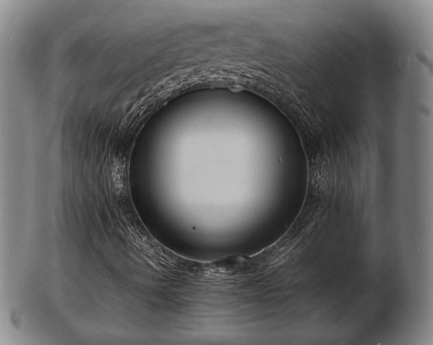 X0000103291490200809051447