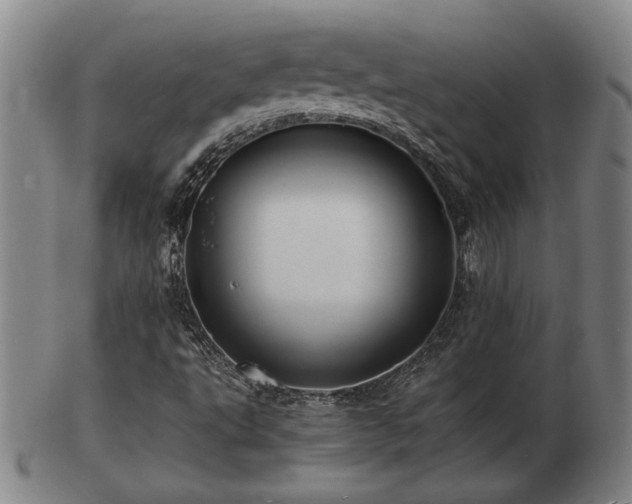 X0000103291495200809051447