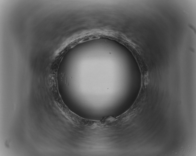 X0000103291496200809051447