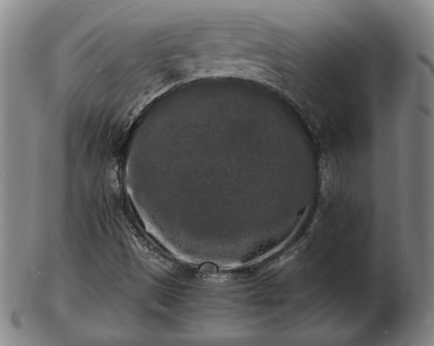 X0000103291497200809051447