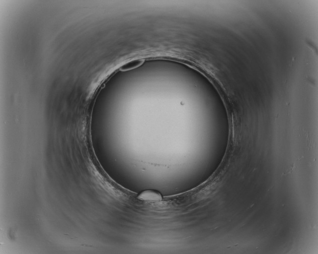 X0000103291500200809051447