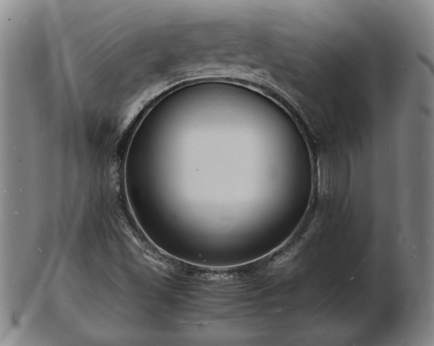 X0000103291501200809051447