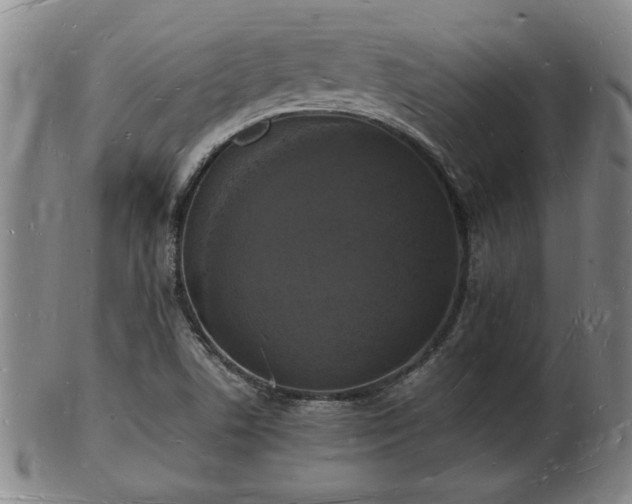 X0000103291506200809051447