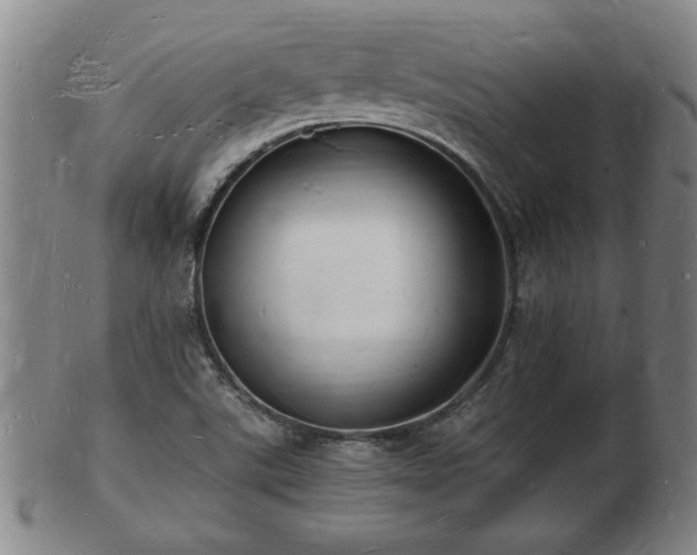 X0000103291507200809051447