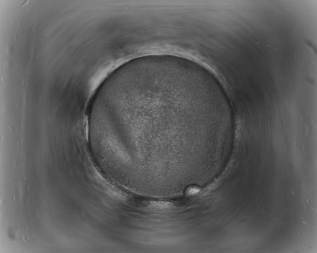 X0000103291509200809051447