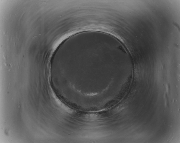 X0000103291515200809051447