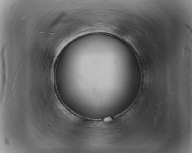 X0000103291516200809051447