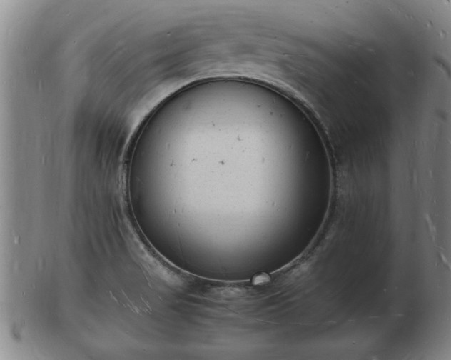 X0000103291517200809051447