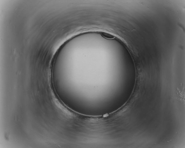 X0000103291518200809051447