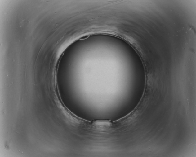 X0000103291520200809051447