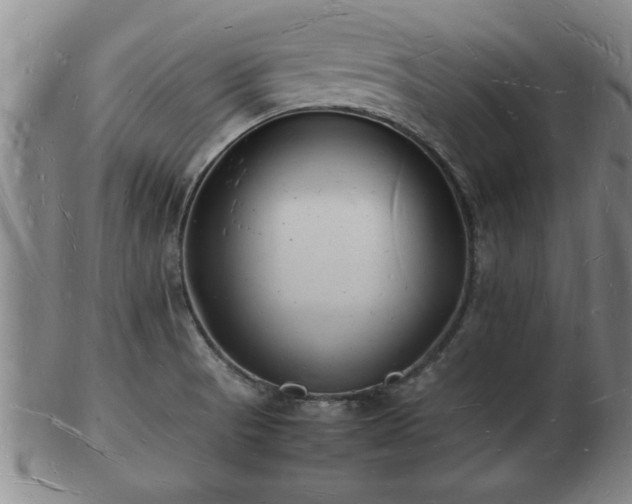 X0000103291521200809051447