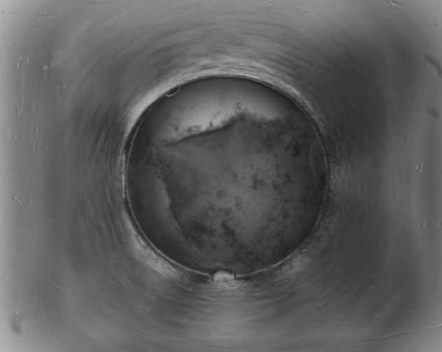 X0000103291522200809051447