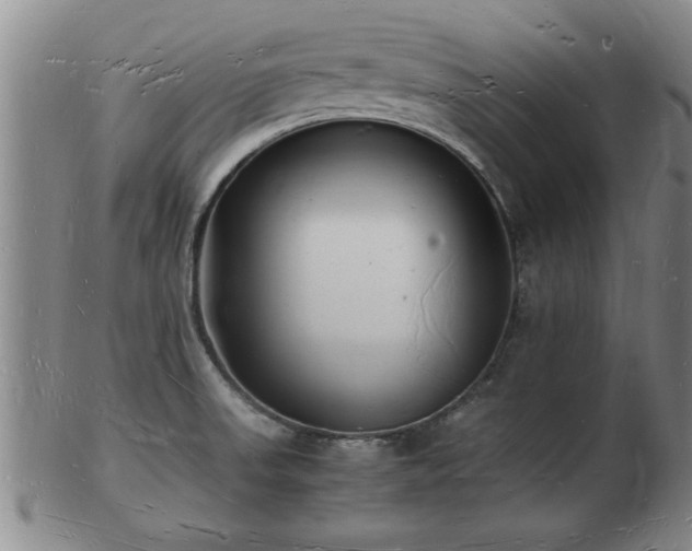 X0000103291523200809051447