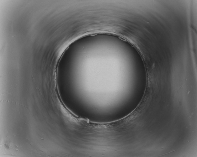 X0000103291524200809051447