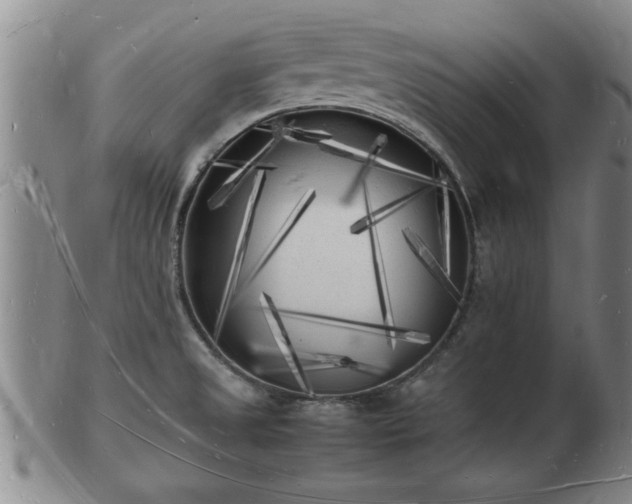 X0000103291525200809051447