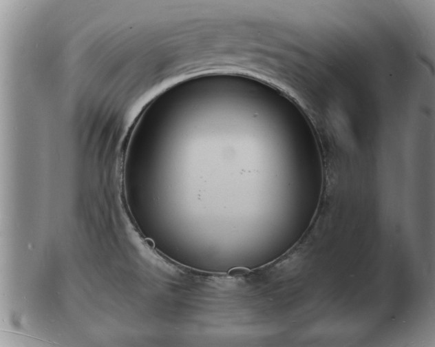 X0000103291526200809051447