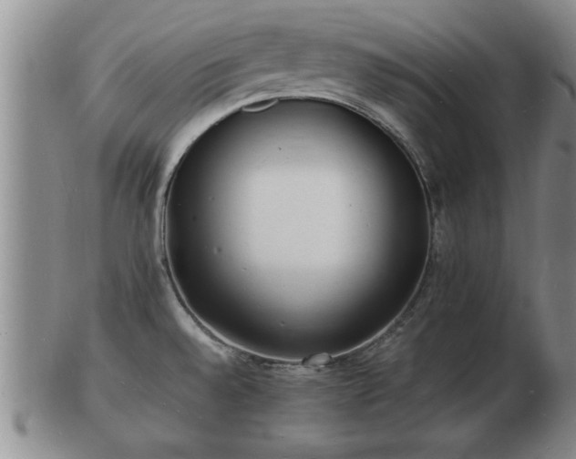 X0000103291528200809051448