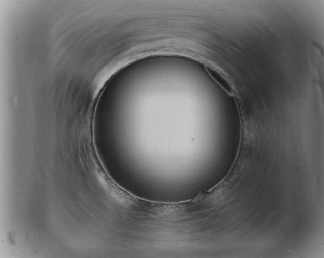 X0000103291530200809051448