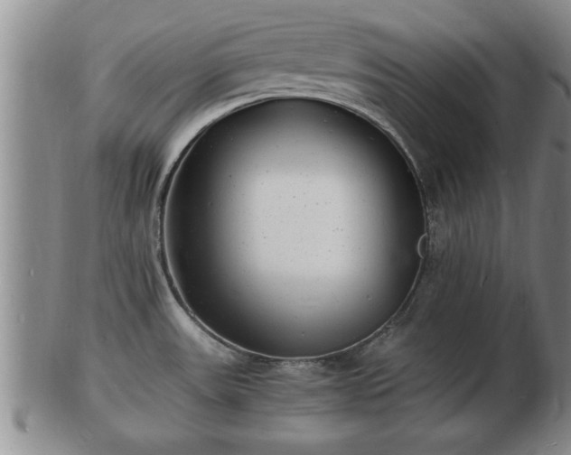 X0000103291531200809051448