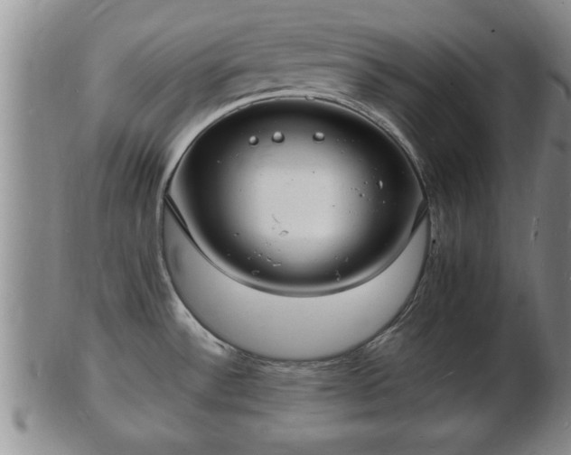 X0000103291532200809051448