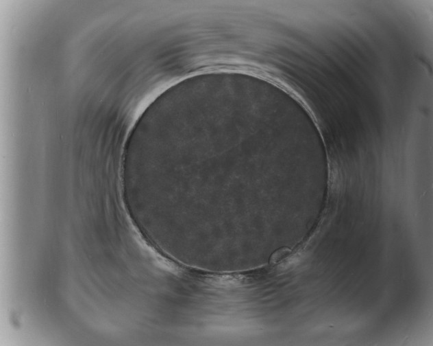 X0000103291533200809051448