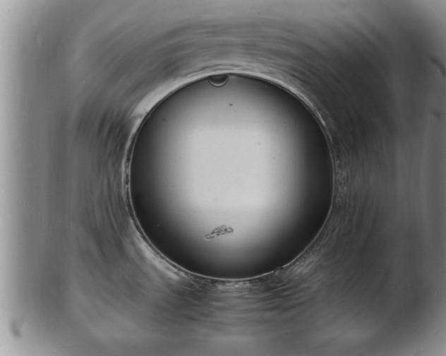 X0000103291535200809051448