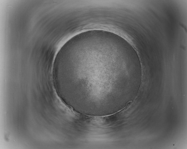 X0000103291536200809051448