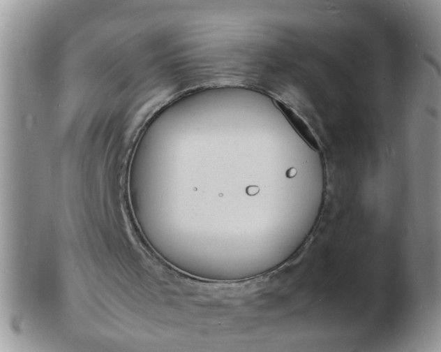 X0000103290001200809122018