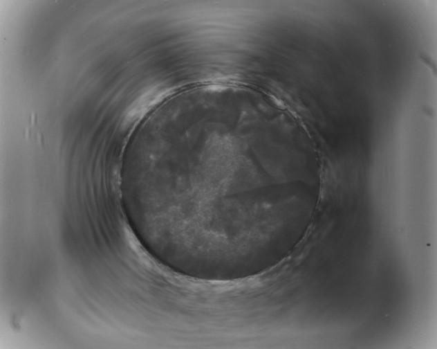 X0000103290002200809122018