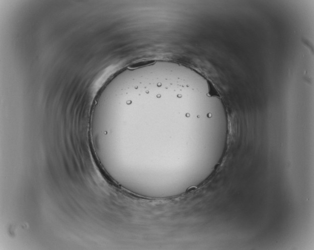 X0000103290003200809122018