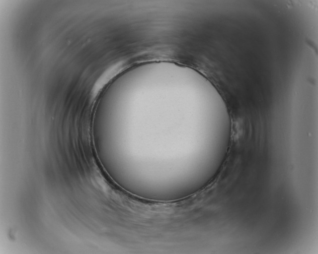 X0000103290004200809122018