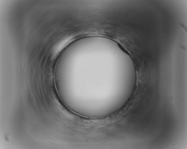 X0000103290005200809122018