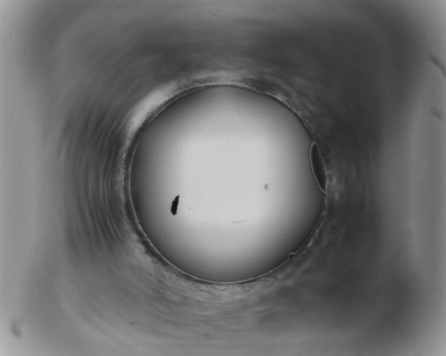 X0000103290006200809122018