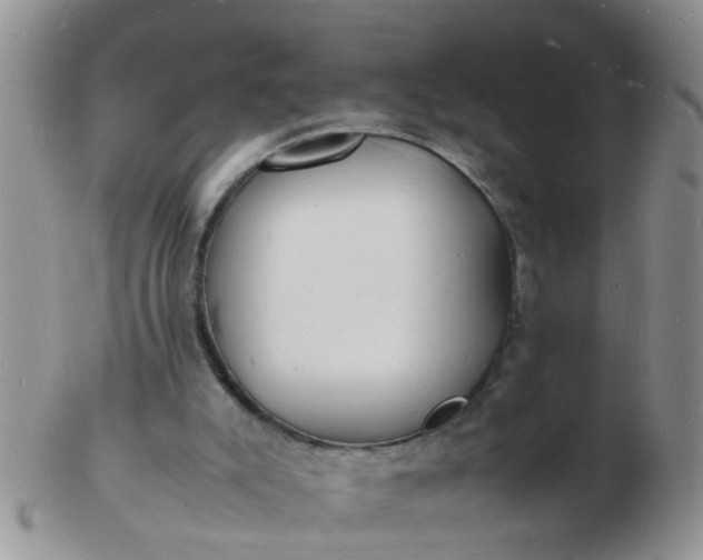 X0000103290007200809122018