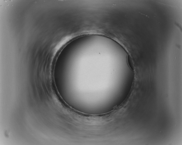 X0000103290008200809122018