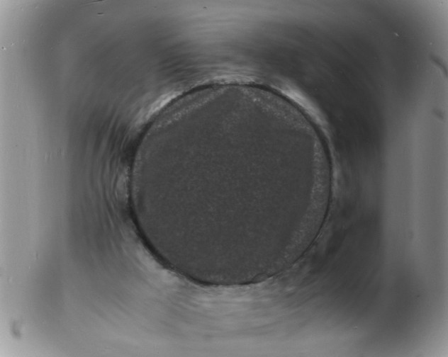 X0000103290009200809122018