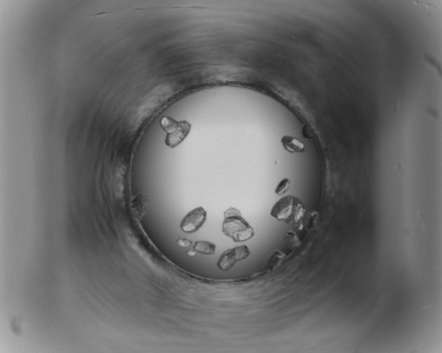 X0000103290010200809122018