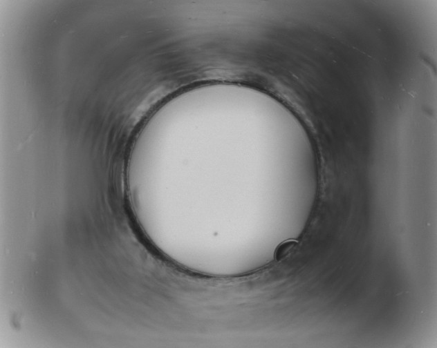 X0000103290011200809122018