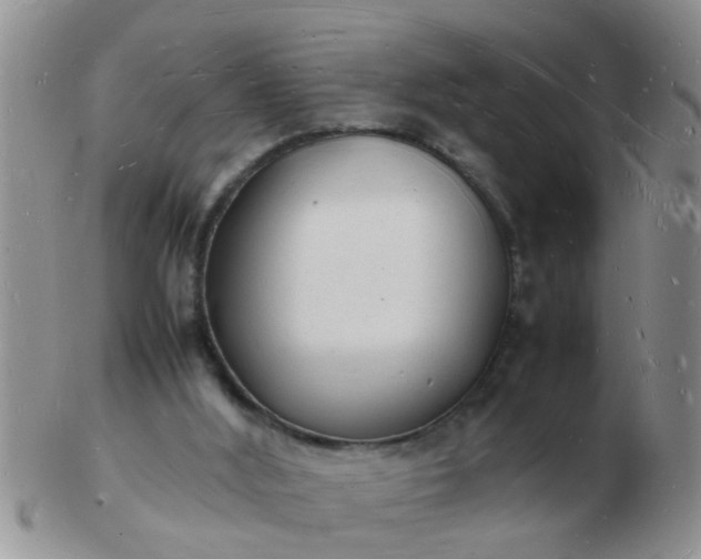 X0000103290012200809122018