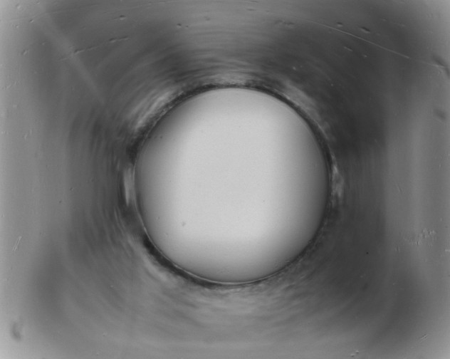 X0000103290013200809122018