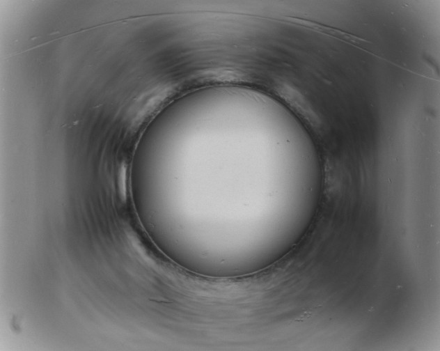 X0000103290014200809122018