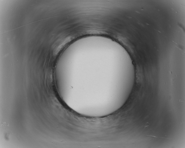 X0000103290015200809122018