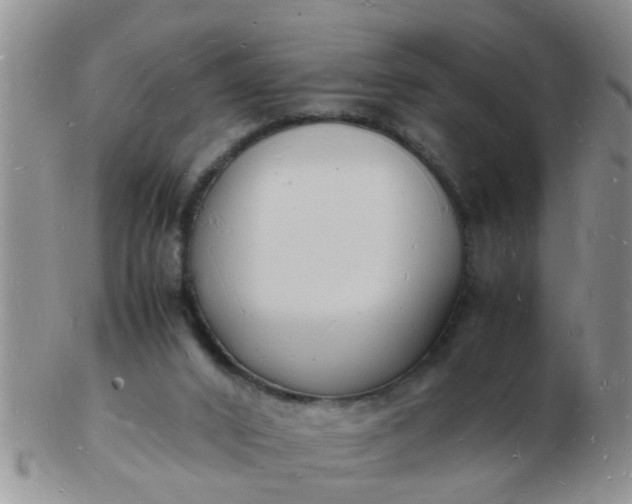 X0000103290016200809122018