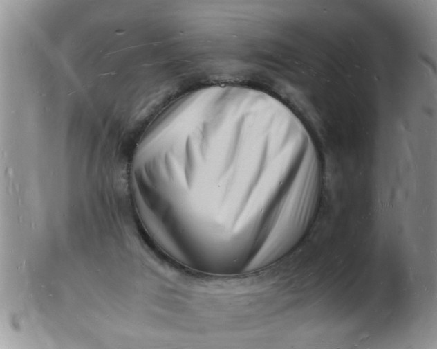 X0000103290017200809122018