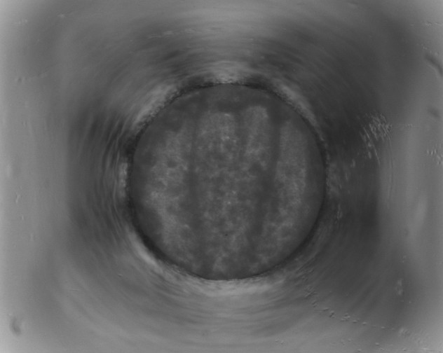 X0000103290018200809122018